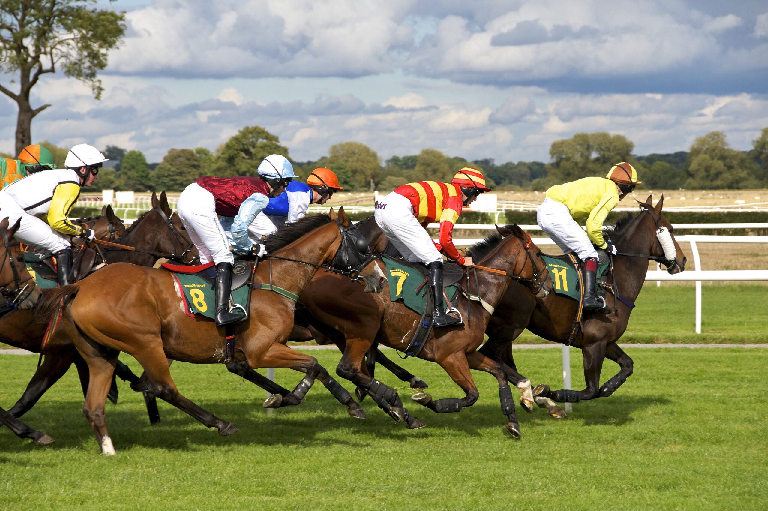“A Punter’s Playbook: Effective Strategies for Horse Race Betting”